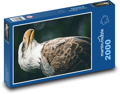 Seeadler! - Puzzle - 2000 Teile