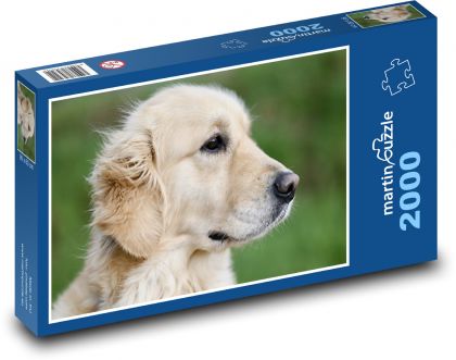 Zlatý retriever - pes - Puzzle 2000 dielikov, rozmer 90x60 cm 
