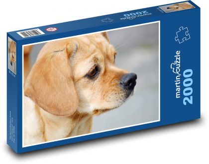 Hund - Puzzle - 2000 Teile