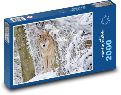 Vlk - Mongolsko - puzzle 2000 dílků