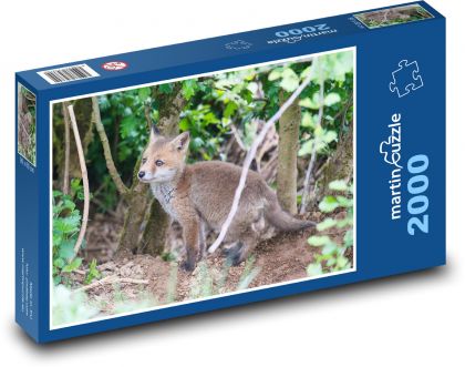 Dziki lis - Puzzle 2000 elementów, rozmiar 90x60 cm