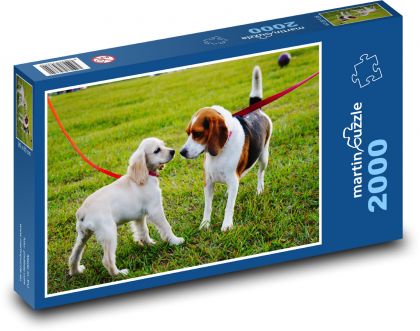 Puppies in the park - Puzzle 2000 pieces, size 90x60 cm 
