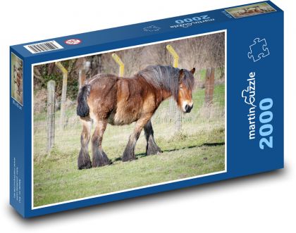Hnědý kůň - puzzle 2000 dílků