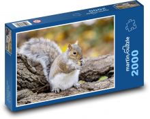 Veverka Puzzle 2000 - 90x60 cm