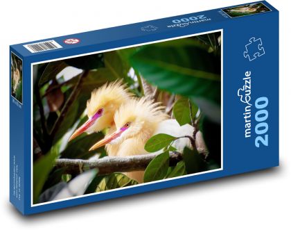 PETUL Bird - Puzzle 2000 elementów, rozmiar 90x60 cm