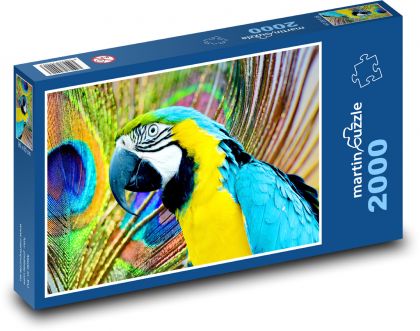 Papoušek - ara - puzzle 2000 dílků