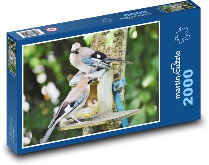 Jay - vtáky - Puzzle 2000 dielikov, rozmer 90x60 cm 
