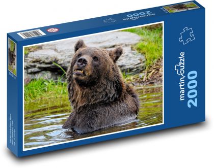 Medveď vo vode - Puzzle 2000 dielikov, rozmer 90x60 cm 