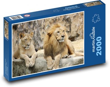 Lion and lioness - Puzzle 2000 pieces, size 90x60 cm 