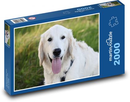 Pes - zlatý retriever - puzzle 2000 dílků