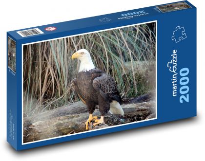 Bald Eagle - Predator - Puzzle 2000 pieces, size 90x60 cm 