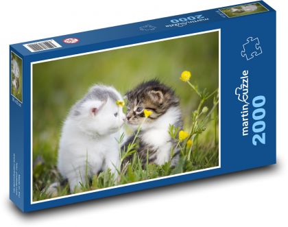 Kocięta w trawie - Puzzle 2000 elementów, rozmiar 90x60 cm