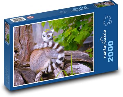 Lemur - Puzzle - 2000 Teile