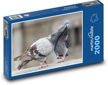 Holuby - vtáky Puzzle 2000 dielikov - 90 x 60 cm