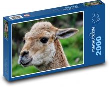 Lamy Puzzle 2000 elementów - 90x60 cm