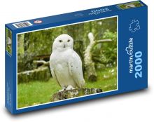 Zasnežená sova Puzzle 2000 dielikov - 90 x 60 cm