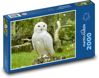 Zasnežená sova - Puzzle 2000 dielikov, rozmer 90x60 cm 