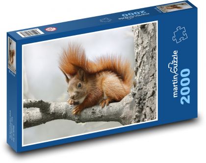 Zardzewiała wiewiórka - Puzzle 2000 elementów, rozmiar 90x60 cm