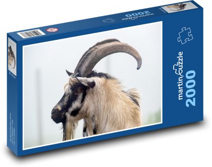 Holandská koza - puzzle 2000 dílků