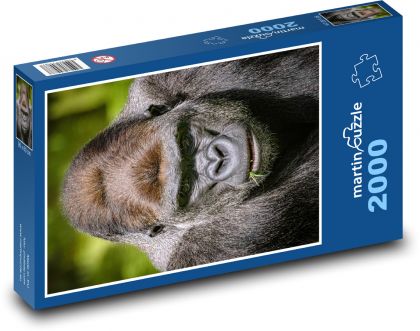Gorilla - monkey - Puzzle 2000 pieces, size 90x60 cm 
