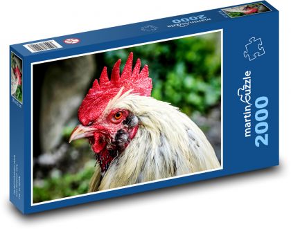 Kohout - puzzle 2000 dílků