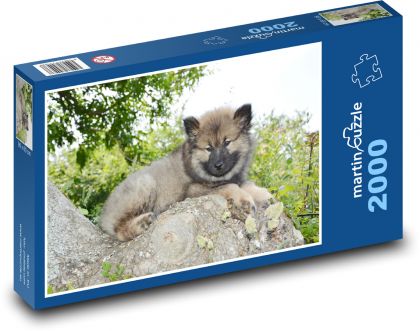 Eurasier - puppy - Puzzle 2000 pieces, size 90x60 cm 