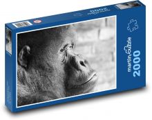 Gorila - opice Puzzle 2000 - 90x60 cm