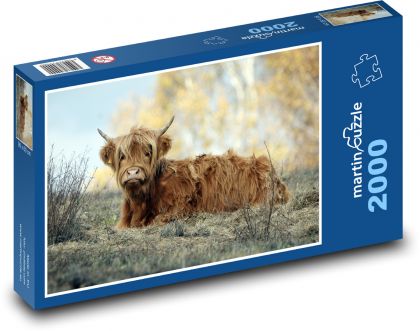 Kráva - puzzle 2000 dílků