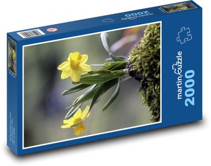 Žltý narcis - Puzzle 2000 dielikov, rozmer 90x60 cm 