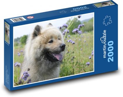 Eurasier Hund in Blumen - Puzzle - 2000 Teile