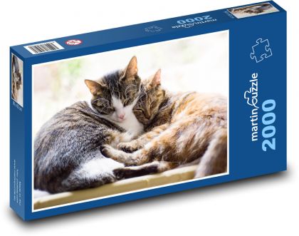 Schlafende Katzen - Puzzle - 2000 Teile