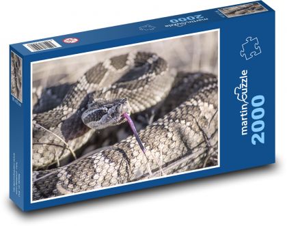 Chřestýš - puzzle 2000 dílků