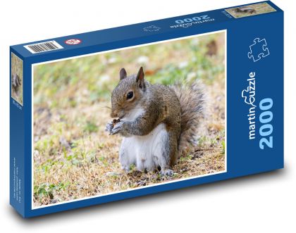 Veverička - hlodavec - Puzzle 2000 dielikov, rozmer 90x60 cm 