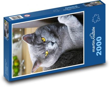 Britská krátkosrstá mačka - Puzzle 2000 dielikov, rozmer 90x60 cm 