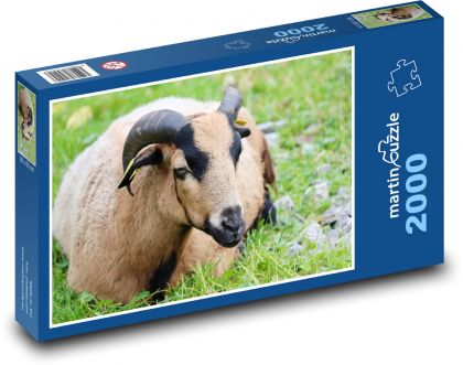 Streichle die Ziege - Puzzle - 2000 Teile