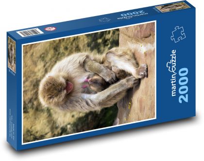 Affe - Makake - Puzzle - 2000 Teile