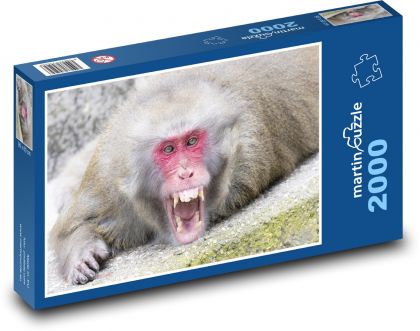 Opica - Puzzle 2000 dielikov, rozmer 90x60 cm 