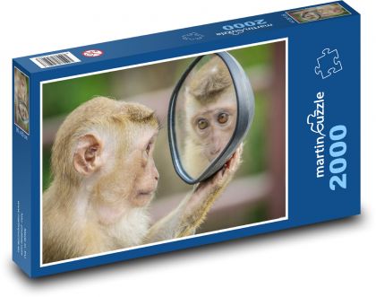 Opice a zrcadlo - puzzle 2000 dílků