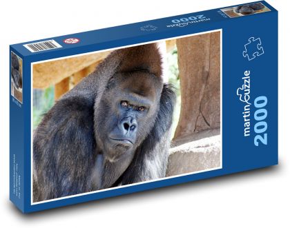 Gorilla - Puzzle - 2000 Teile
