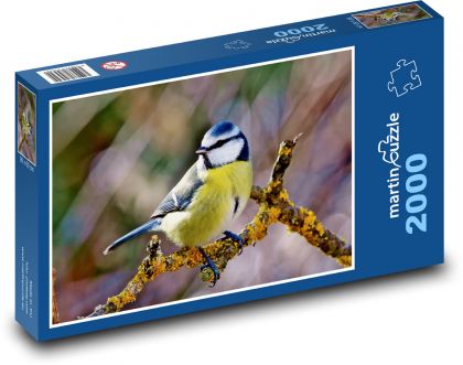Pták - Sýkora modřinka - puzzle 2000 dílků