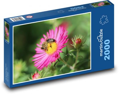 Astra - pszczoła - Puzzle 2000 elementów, rozmiar 90x60 cm
