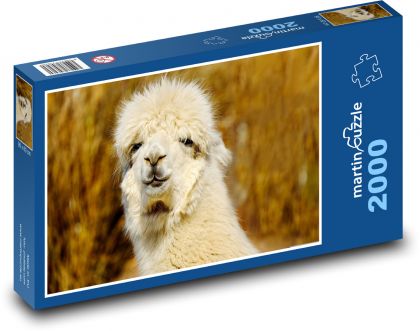 PATTERN: - Puzzle 2000 pieces, size 90x60 cm 