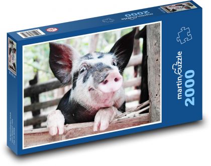Schwein - Puzzle - 2000 Teile