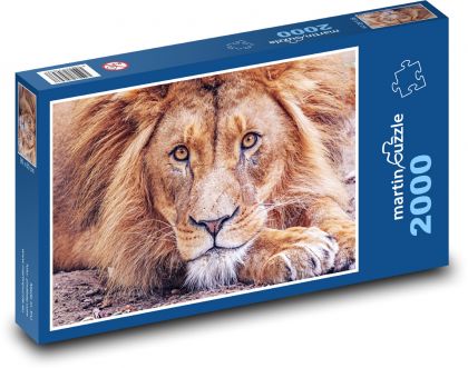 Lion - Puzzle 2000 pieces, size 90x60 cm 