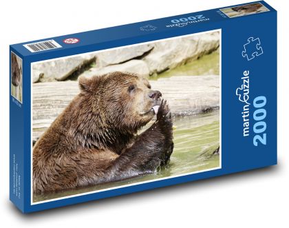 Medveď hnedý. - Puzzle 2000 dielikov, rozmer 90x60 cm 