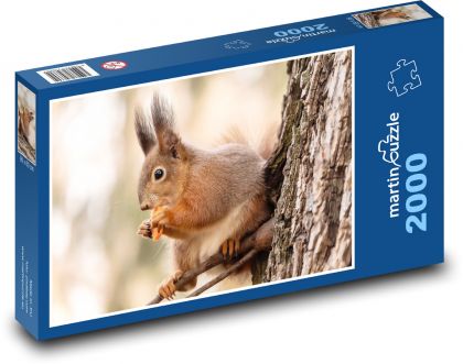 Veverka - Puzzle 2000 dílků, rozměr 90x60 cm