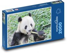 Panda Puzzle 2000 pieces - 90 x 60 cm