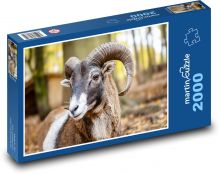 Mouflon w lesie Puzzle 2000 elementów - 90x60 cm