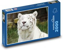 Der White Tiger. Puzzle 2000 Teile - 90 x 60 cm