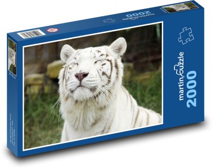 White Tiger - Puzzle 2000 pieces, size 90x60 cm 